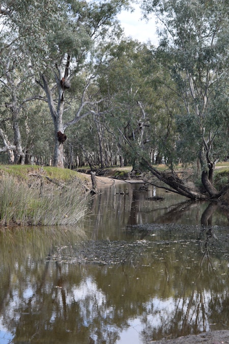 Riverina Highway, Bungowannah, NSW, 2640 - Image 10