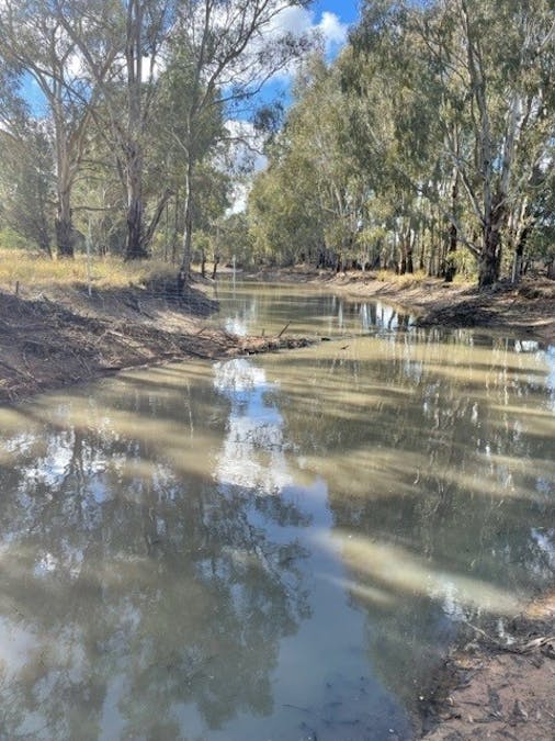 1014 Warregal Road, Tichborne, NSW, 2870 Sold Elders Real Estate