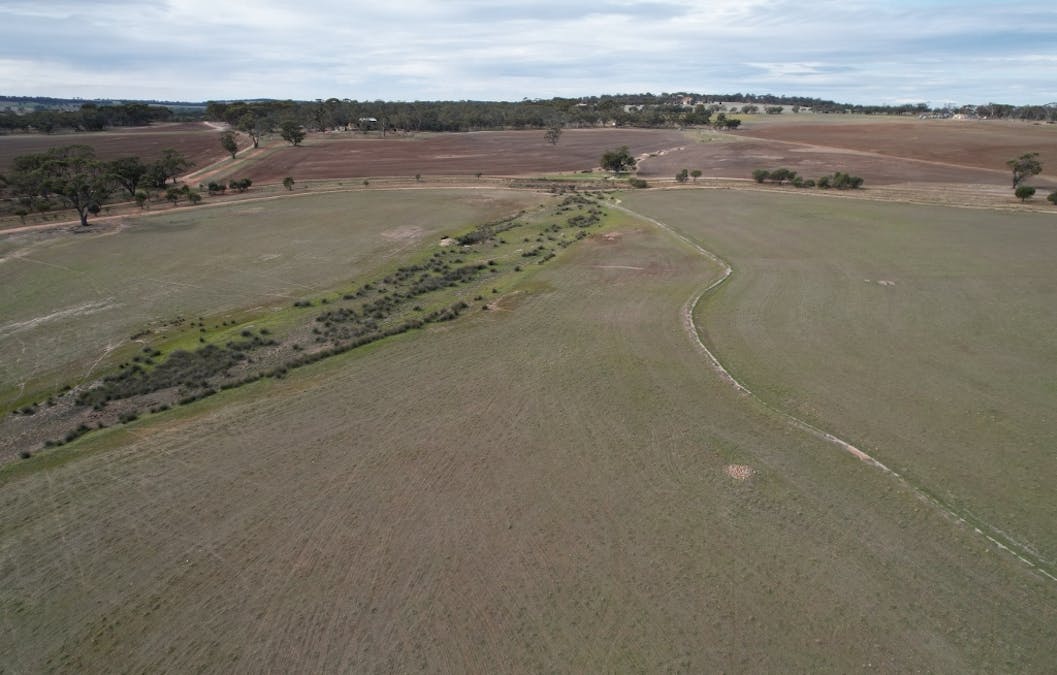 63 Cowring Street, Kauring, WA, 6302 Sold Elders Real Estate