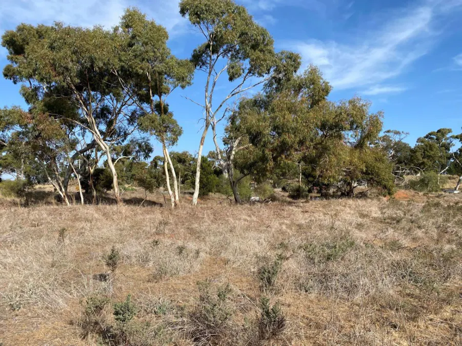 DimboolaRainbow Road, Jeparit, VIC, 3423 Sold Elders Real Estate