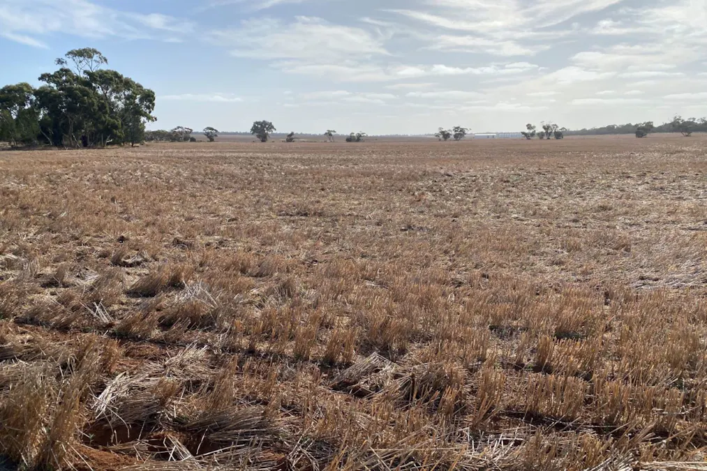 DimboolaRainbow Road, Jeparit, VIC, 3423 Sold Elders Real Estate