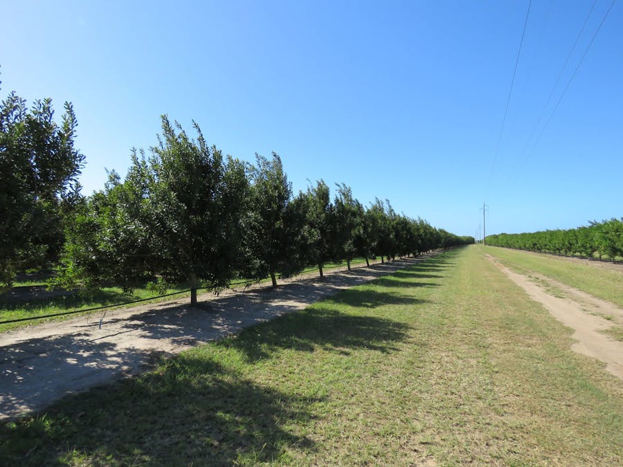 270 Lovers Walk , Woongarra, QLD, 4670 - Image 3