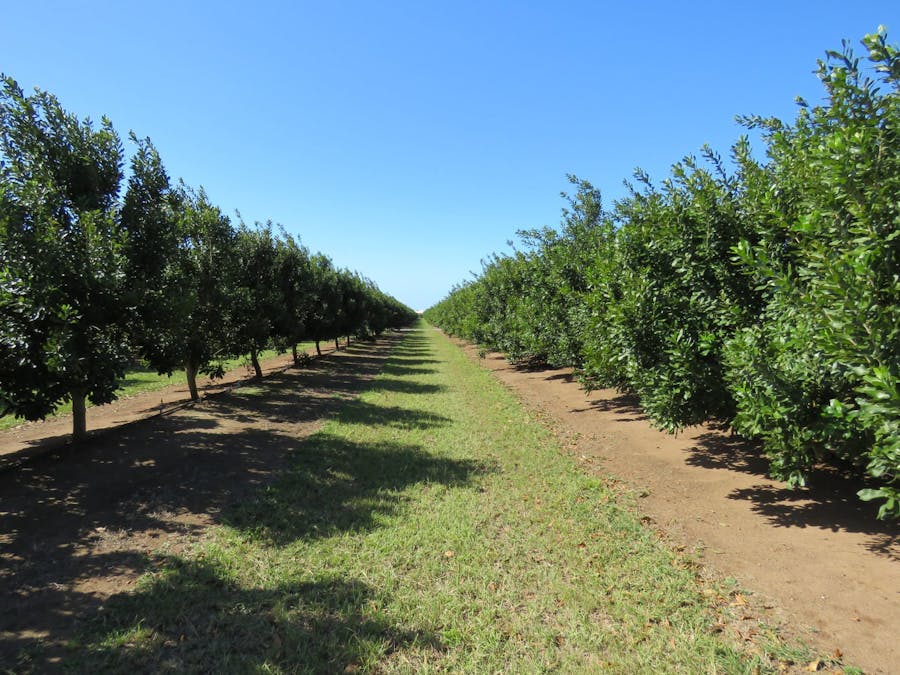 270 Lovers Walk , Woongarra, QLD, 4670 - Image 5