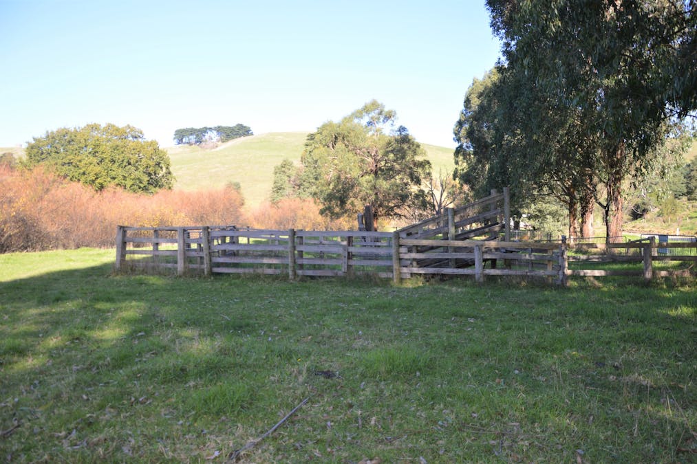 1180 Wild Dog Valley Road, Wild Dog Valley, VIC, 3953 - Image 6