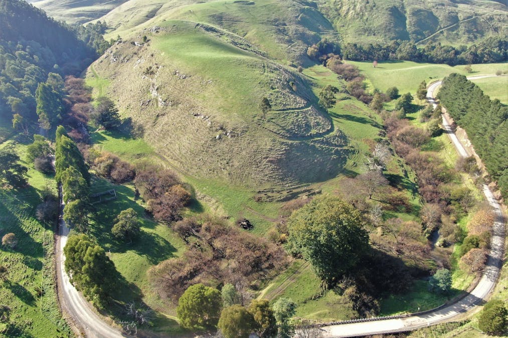 1180 Wild Dog Valley Road, Wild Dog Valley, VIC, 3953 - Image 2