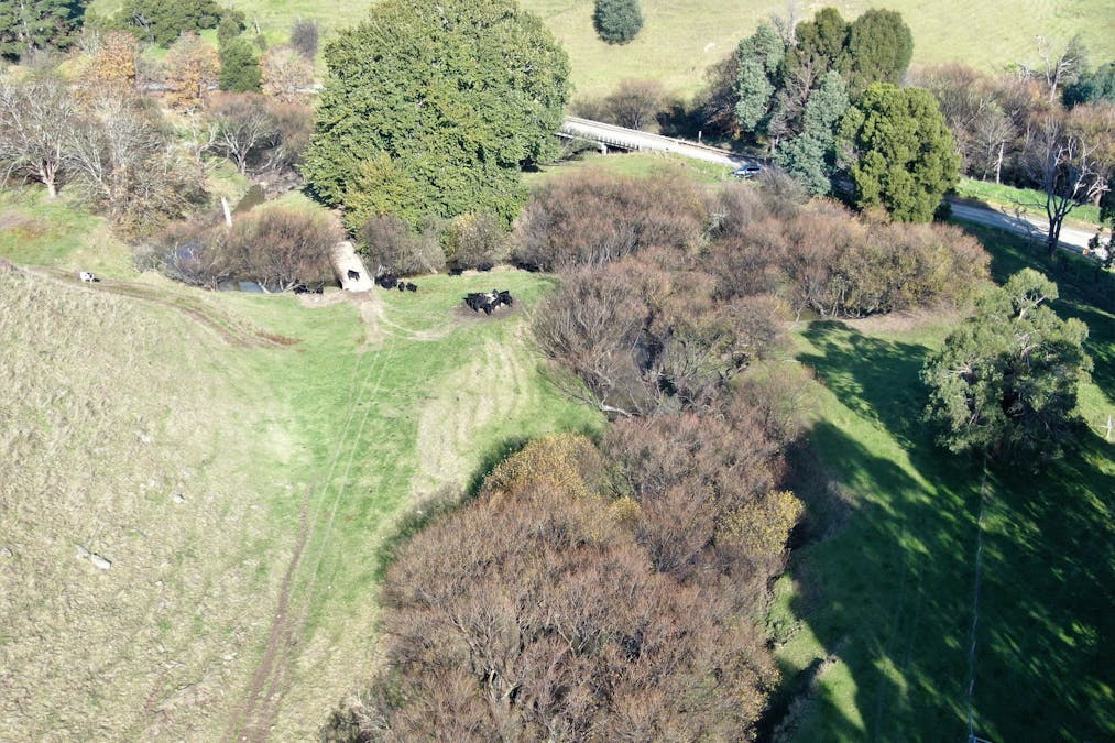 1180 Wild Dog Valley Road, Wild Dog Valley, VIC, 3953 - Image 11