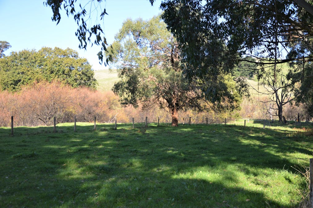 1180 Wild Dog Valley Road, Wild Dog Valley, VIC, 3953 - Image 10