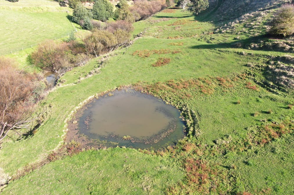 1180 Wild Dog Valley Road, Wild Dog Valley, VIC, 3953 - Image 21
