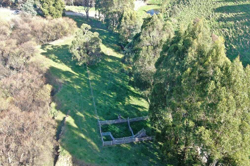 1180 Wild Dog Valley Road, Wild Dog Valley, VIC, 3953 - Image 7