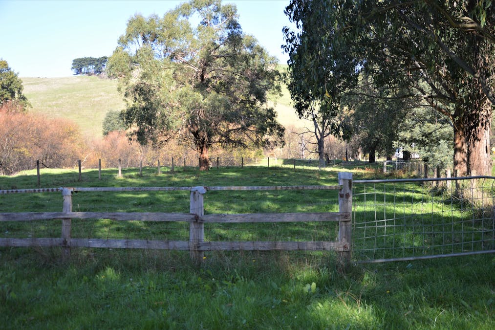 1180 Wild Dog Valley Road, Wild Dog Valley, VIC, 3953 - Image 8
