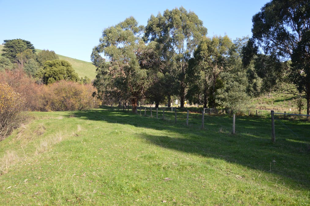 1180 Wild Dog Valley Road, Wild Dog Valley, VIC, 3953 - Image 13