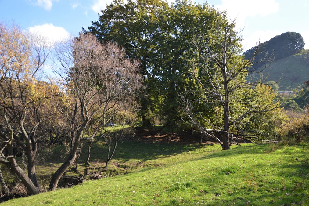 1180 Wild Dog Valley Road, Wild Dog Valley, VIC, 3953 - Image 15