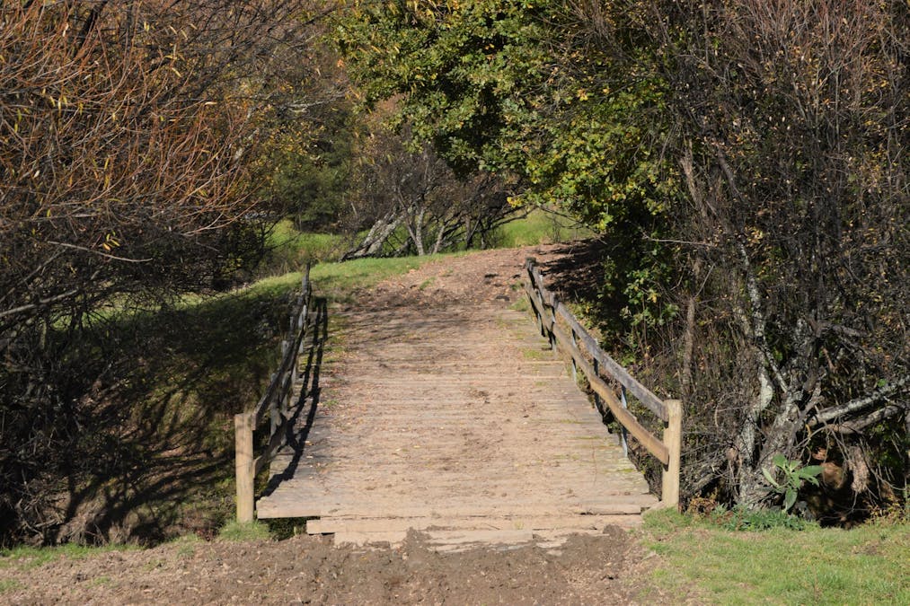 1180 Wild Dog Valley Road, Wild Dog Valley, VIC, 3953 - Image 17