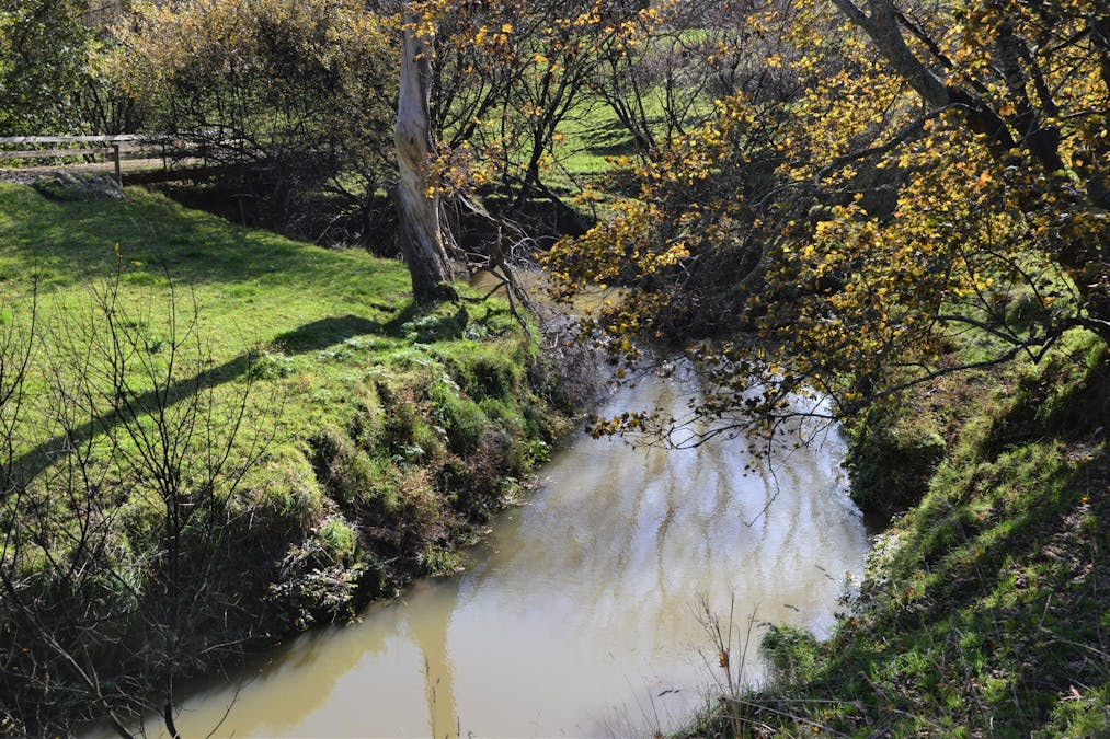 1180 Wild Dog Valley Road, Wild Dog Valley, VIC, 3953 - Image 18
