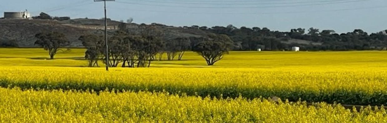 Lot 1 Noonajin Road, Bruce Rock, WA, 6418 - Image 2