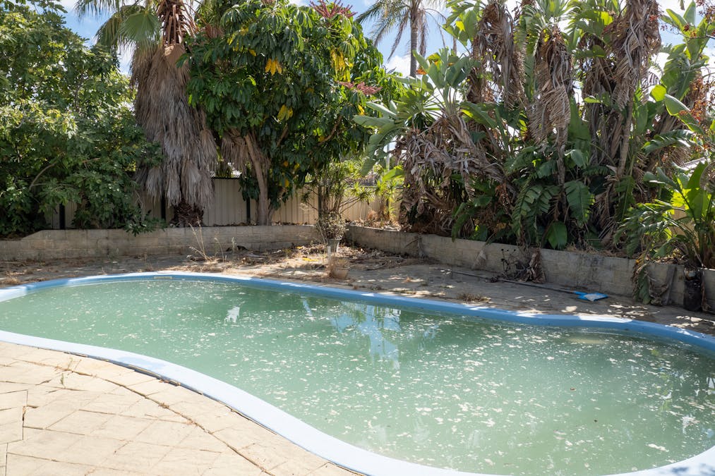 17 Nowranie Place, Hillman, WA, 6168 - Image 9