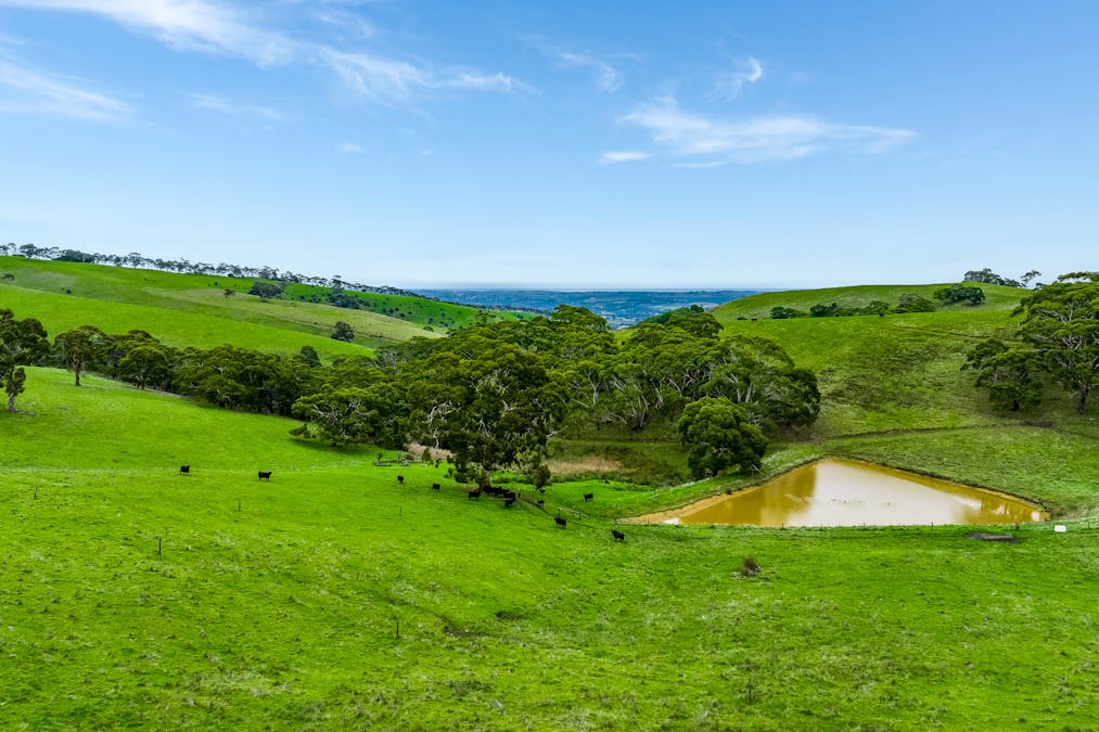 1205 Range Road, Mclaren Flat, SA, 5171 - Image 6