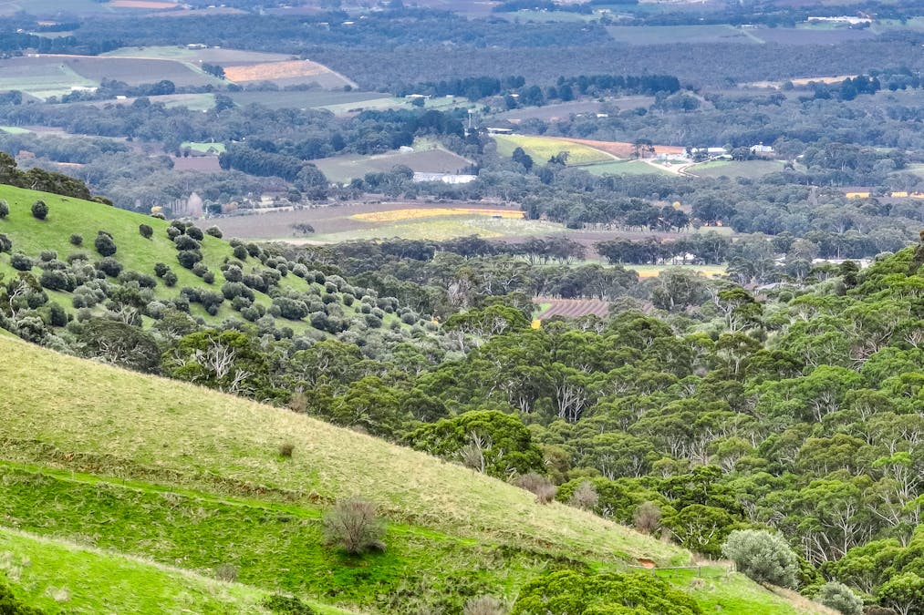 1205 Range Road, Mclaren Flat, SA, 5171 - Image 4
