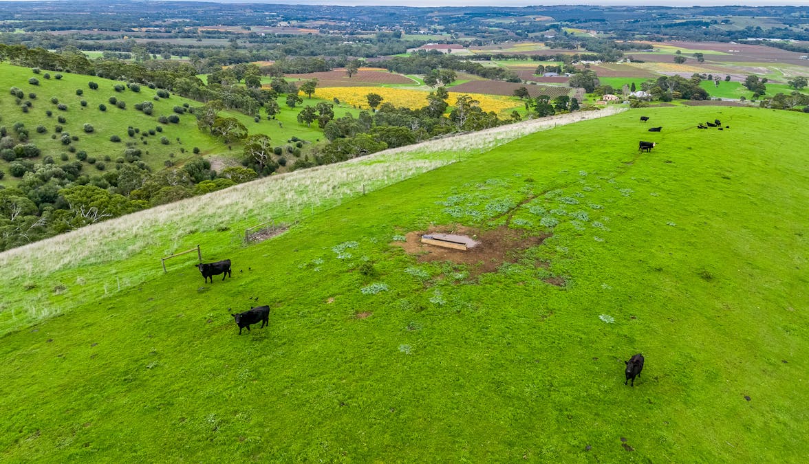 1205 Range Road, Mclaren Flat, SA, 5171 - Image 22