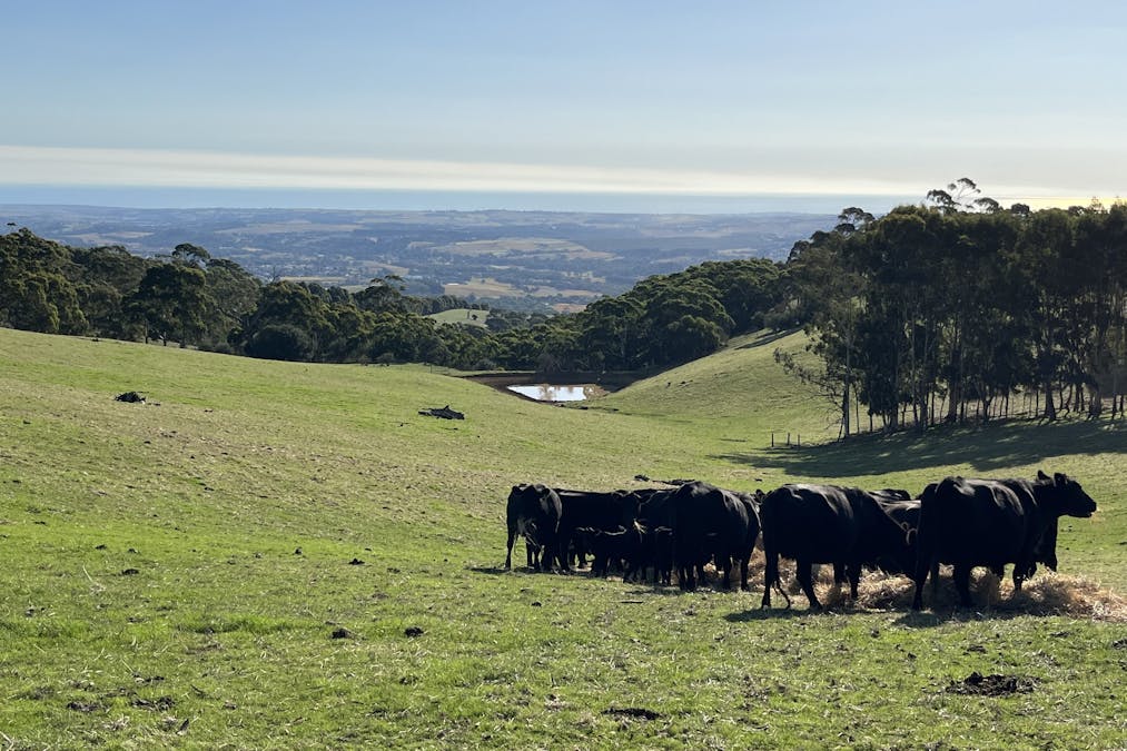 1205 Range Road, Mclaren Flat, SA, 5171 - Image 1