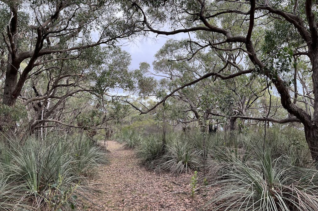 1205 Range Road, Mclaren Flat, SA, 5171 - Image 30