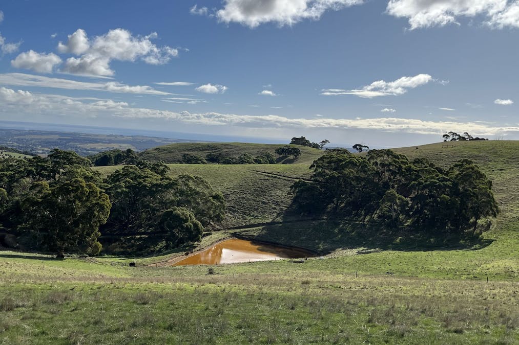 1205 Range Road, Mclaren Flat, SA, 5171 - Image 32