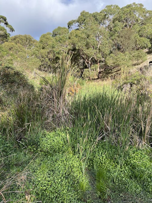 1205 Range Road, Mclaren Flat, SA, 5171 - Image 34