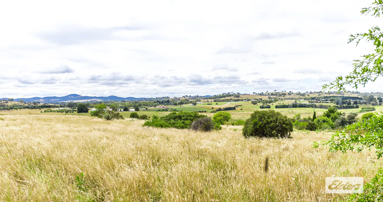 116 Dog Trap Road, Marchmont, NSW, 2582 - Image 1