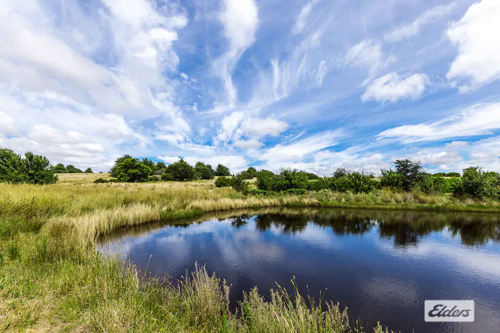 116 Dog Trap Road, Marchmont, NSW, 2582 - Image 9