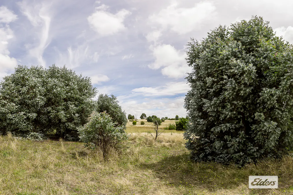 116 Dog Trap Road, Marchmont, NSW, 2582 - Image 11