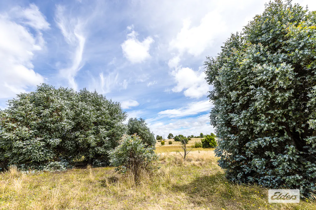 116 Dog Trap Road, Marchmont, NSW, 2582 - Image 12