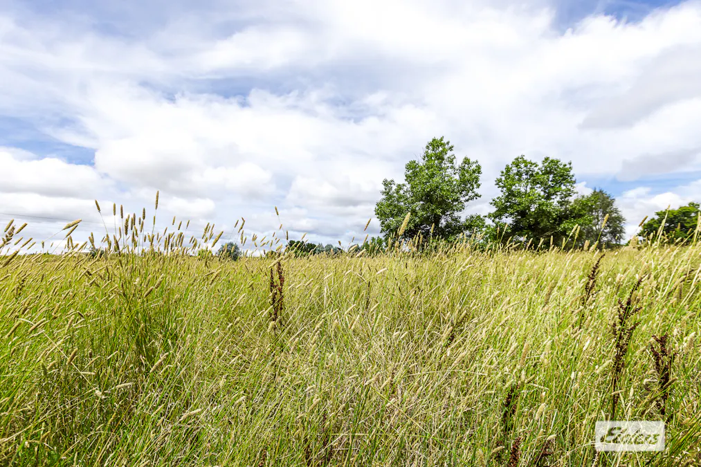 116 Dog Trap Road, Marchmont, NSW, 2582 - Image 13