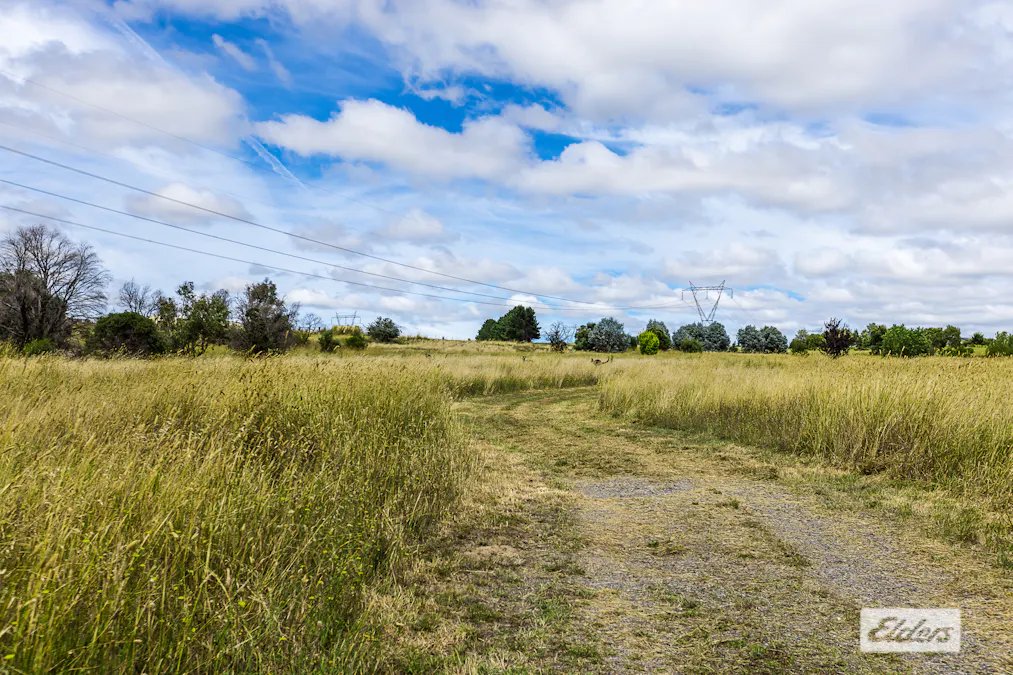 116 Dog Trap Road, Marchmont, NSW, 2582 - Image 17