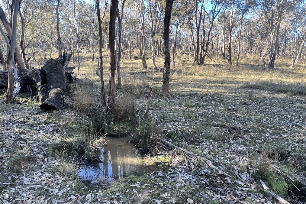 30/Carinya Estate Caringa Road, Godfreys Creek, NSW, 2586 - Image 3