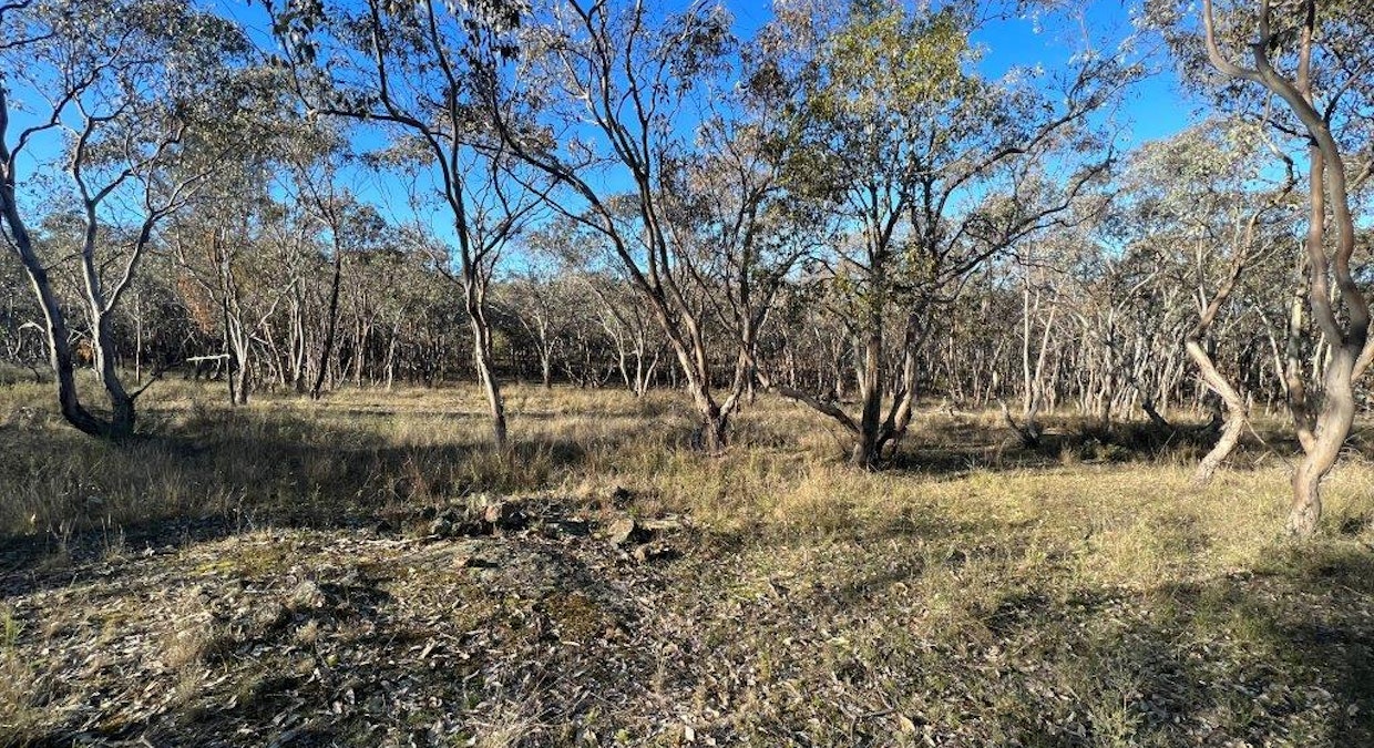 30/Carinya Estate Caringa Road, Godfreys Creek, NSW, 2586 - Image 7