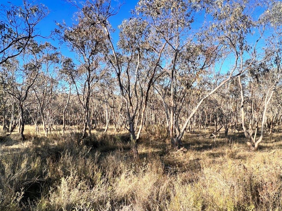 30/Carinya Estate Caringa Road, Godfreys Creek, NSW, 2586 - Image 8
