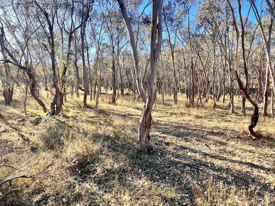 30/Carinya Estate Caringa Road, Godfreys Creek, NSW, 2586 - Image 2