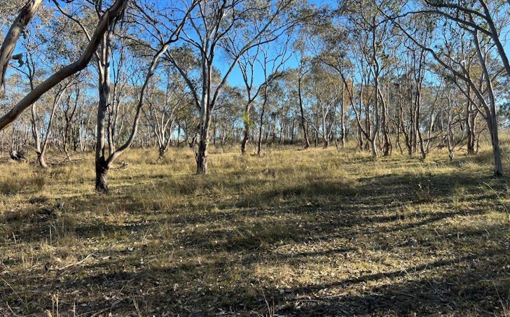30/Carinya Estate Caringa Road, Godfreys Creek, NSW, 2586 - Image 1