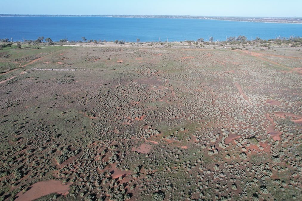 62/Queen Elizabeth Drive, Barmera, SA, 5345 - Image 5