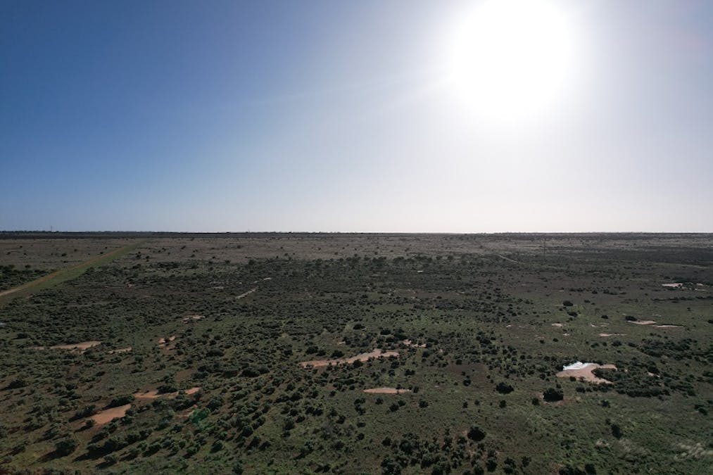 62/Queen Elizabeth Drive, Barmera, SA, 5345 - Image 7