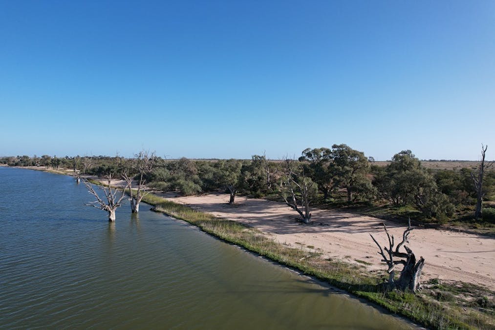 62/Queen Elizabeth Drive, Barmera, SA, 5345 - Image 8