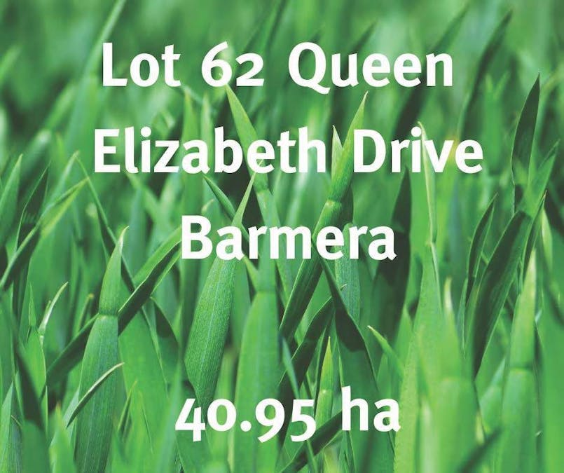 62/Queen Elizabeth Drive, Barmera, SA, 5345 - Image 2