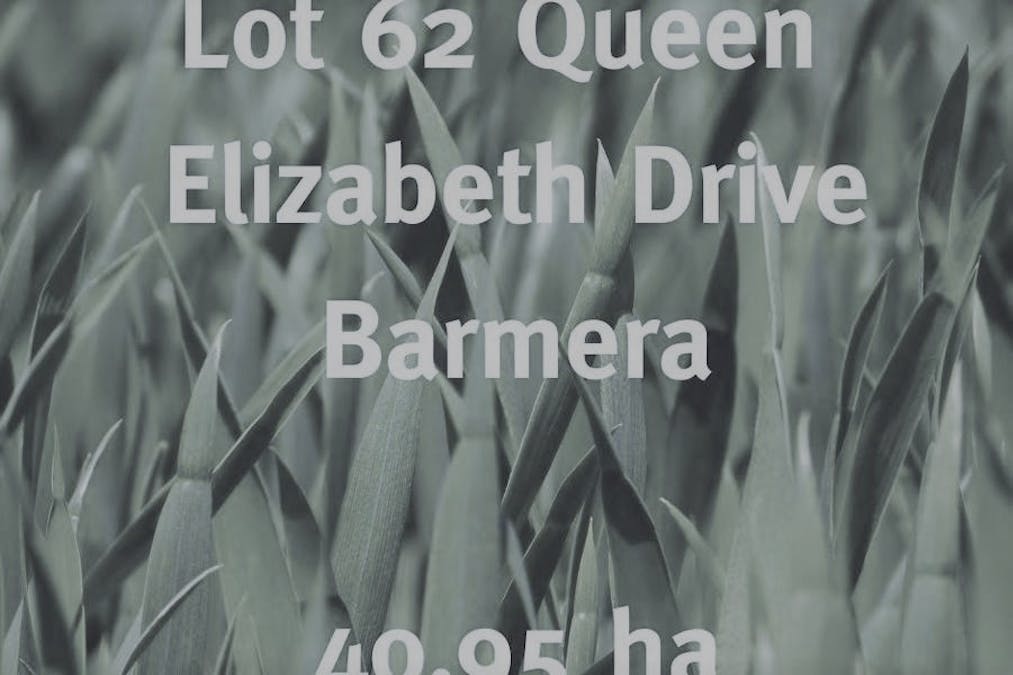 62/Queen Elizabeth Drive, Barmera, SA, 5345 - Image 1