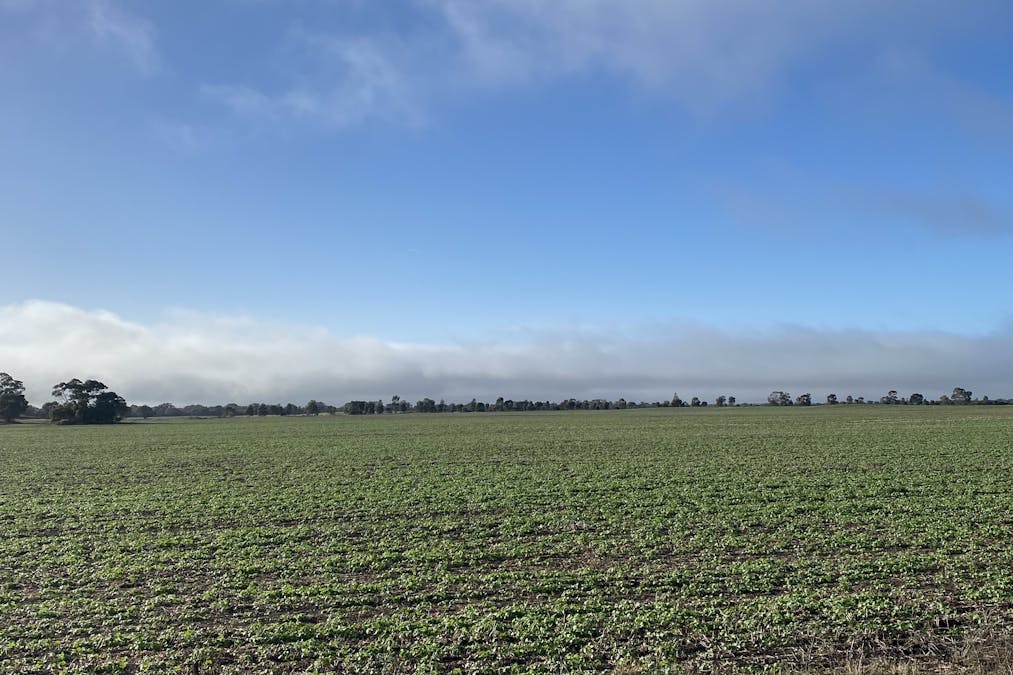 Banyena Silo Road, Banyena, VIC, 3388 - Image 1