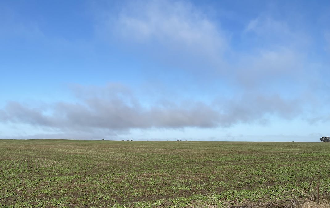 Banyena Silo Road, Banyena, VIC, 3388 - Image 2