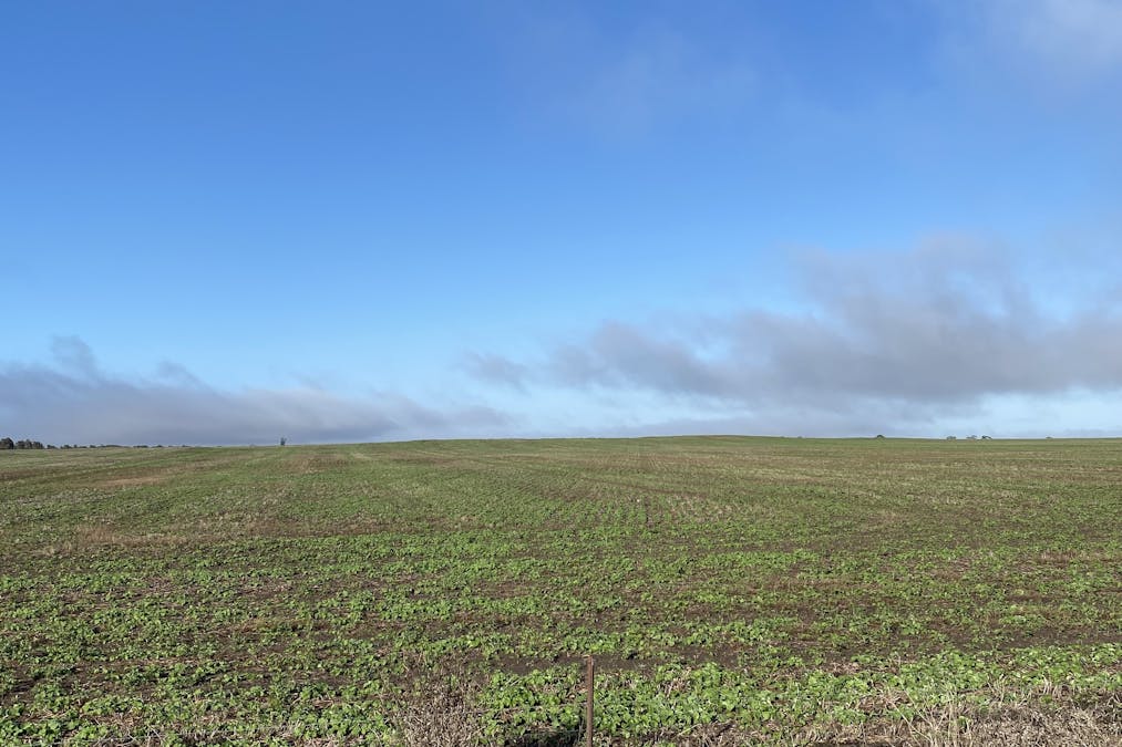 Banyena Silo Road, Banyena, VIC, 3388 - Image 3