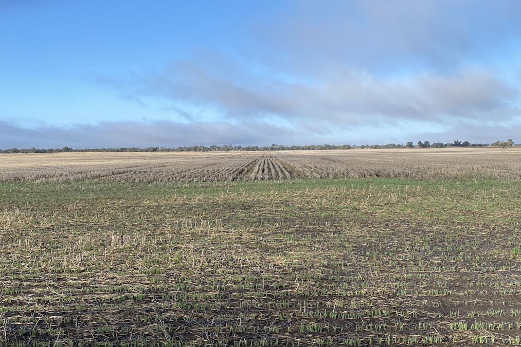Banyena Silo Road, Banyena, VIC, 3388 - Image 4