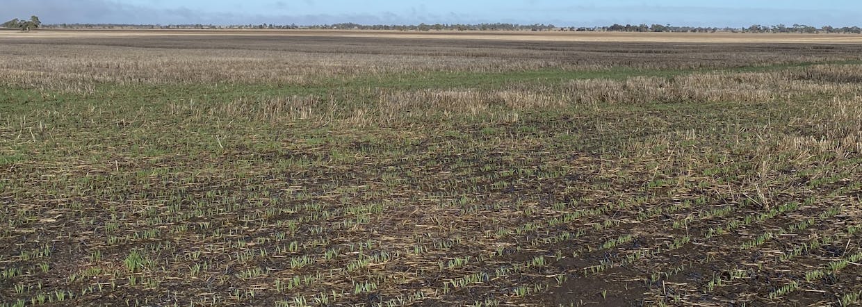 Banyena Silo Road, Banyena, VIC, 3388 - Image 5