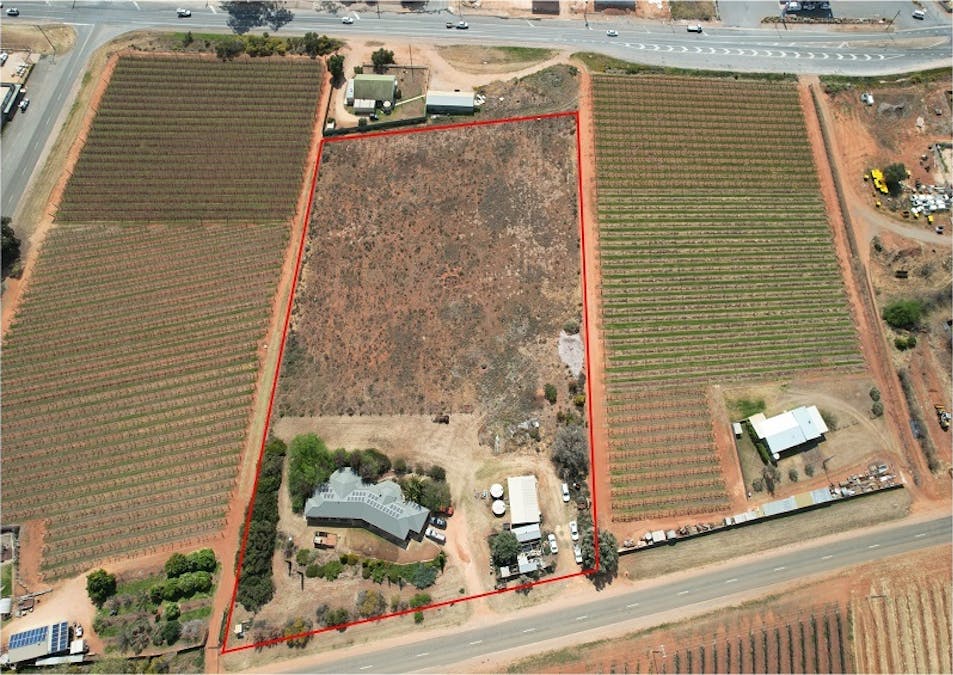 36 Till Road, Barmera, SA, 5345 - Image 3