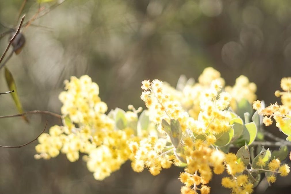 495 Hell Hole Creek Road, Preston, QLD, 4352 - Image 30
